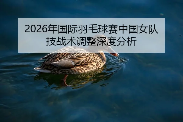 2026年国际羽毛球赛中国女队技战术调整深度分析