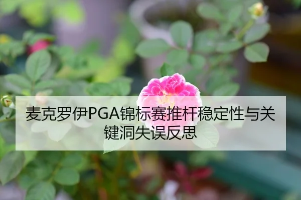 麦克罗伊PGA锦标赛推杆稳定性与关键洞失误反思