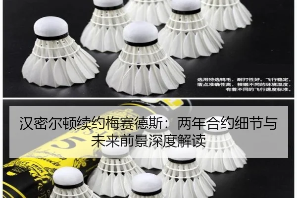 han-mi-er-dun-xu-yue-mei-sai-de-si-liang-nian-he-yue-xi-jie-yu-wei-lai-qian-jing-shen-du-jie-du-3-102.jpg